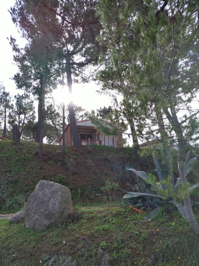 Camping Tikiti 普罗普里亚诺 外观 照片