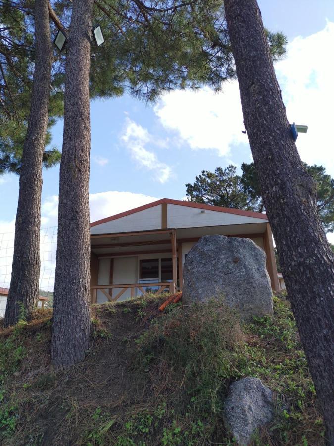 Camping Tikiti 普罗普里亚诺 外观 照片
