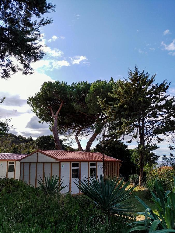 Camping Tikiti 普罗普里亚诺 外观 照片