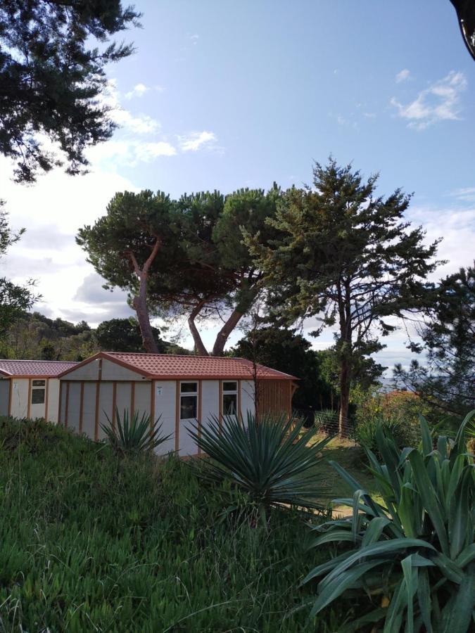 Camping Tikiti 普罗普里亚诺 外观 照片